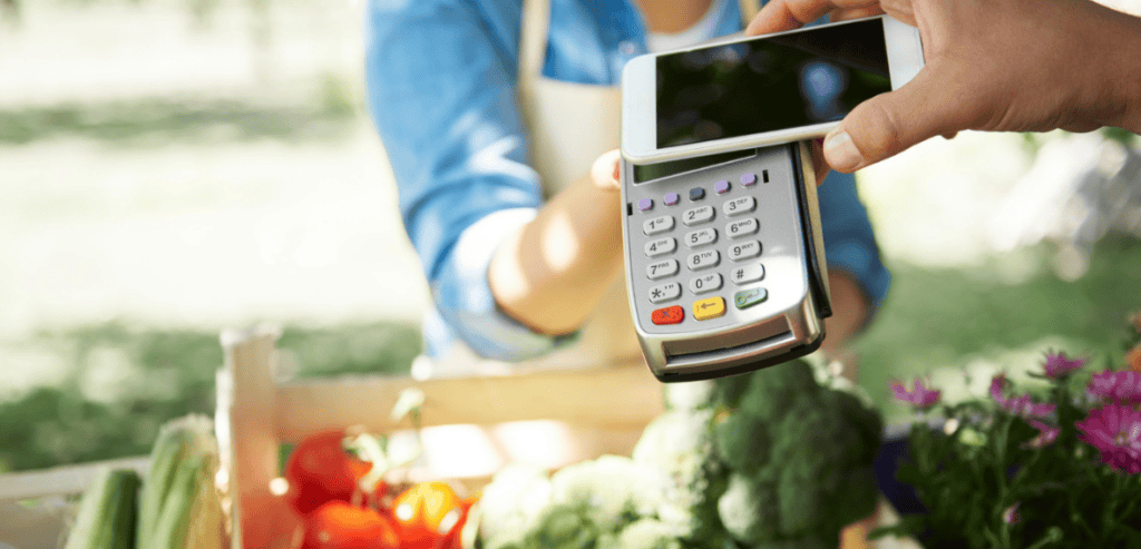 SNAP Inventory Standards